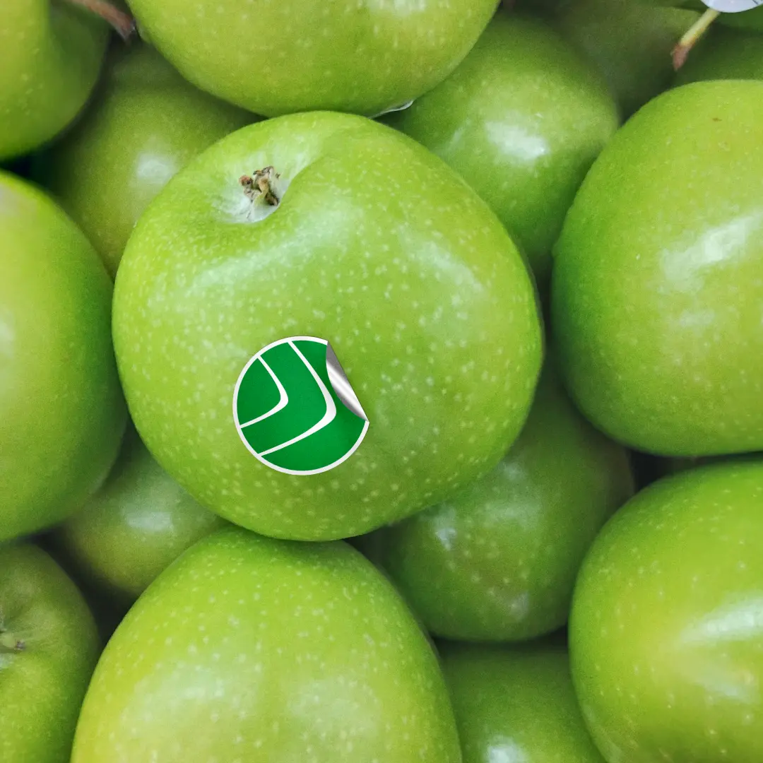 InvestOffice logo sticker on a green apple in a pile of apples